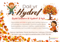 Dail yr hydref (fersiwn sgrin) - thumbnail
